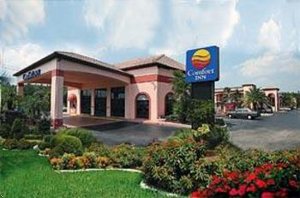 Comfort Inn Sun City Center Sun City Center Florida Hotels