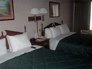 Comfort Inn Lincoln Lincoln Nebraska Hotels Lodging And