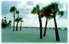 Clearwater Beach