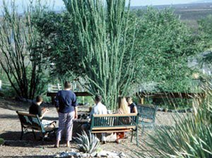 Best Western Lookout Lodge