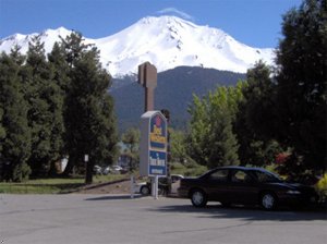 Best Western Tree House Motor Inn