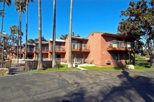 Best Western Pine Tree Motel