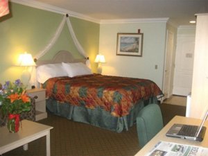 Best Western Harbour Inn & Suites