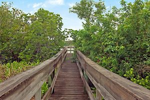 Best Western Intracoastal Inn