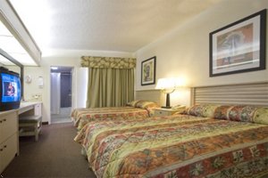 Best Western All Suites Hotel Near Usf Behind Busch Gardens