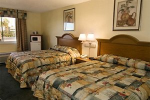 Best Western Fort Myers Inn & Suites