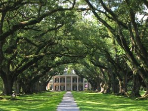 Best Western Chateau Louisianne Suite Hotel