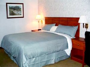 Best Western Inn Of Thief River Falls