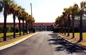 Best Western Palmetto Inn