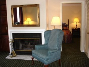 Best Western Spring Hill Inn & Suites