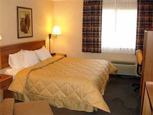 Comfort Inn Lone Pine