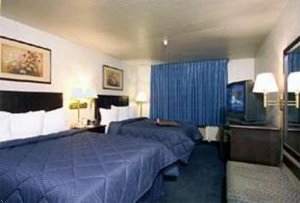 Comfort Inn Fairfield/Napa Valley