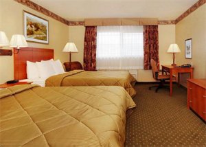 Comfort Inn & Suites