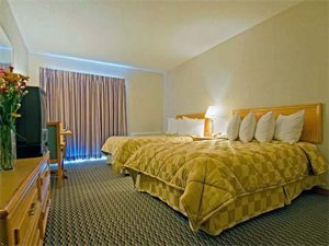 Comfort Inn Sydney