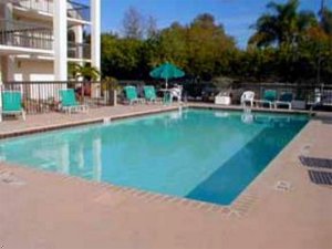 Comfort Inn Sarasota