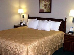 Comfort Inn Downers Grove