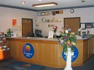 Comfort Inn Morton