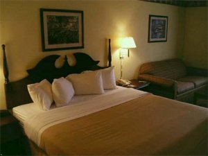 Comfort Inn Baton Rouge