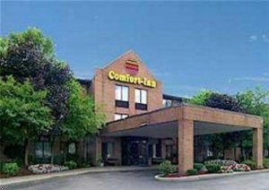 Comfort Inn Livonia