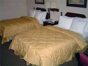 Comfort Inn Garner