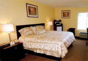 Comfort Inn Austinburg