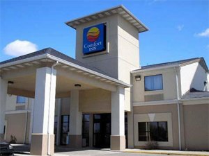 Comfort Inn North