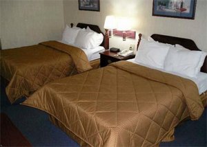 Comfort Inn West