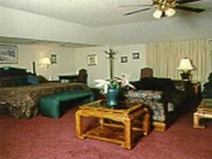 Comfort Inn Summerville