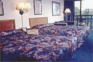 Comfort Inn - South Forest Beach