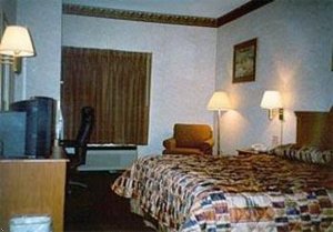 Comfort Inn South