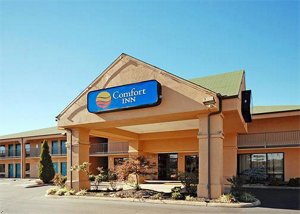 Comfort Inn Johnson City