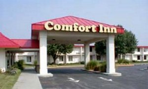 Comfort Inn Winchester