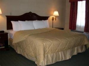 Comfort Inn Ballston