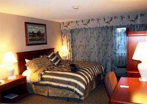 Comfort Inn At Buffalo Bill Village Resort