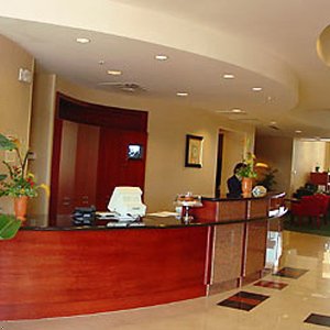 Courtyard By Marriott Tampa-Oldsmar