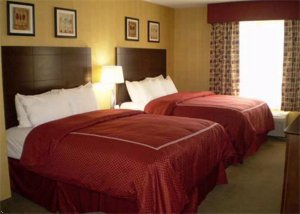 Comfort Suites Stratford