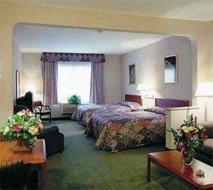 Comfort Suites La Porte