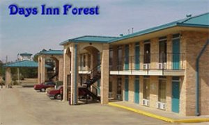 Forest - Days Inn