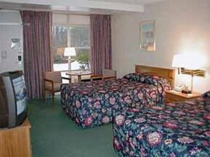 Econo Lodge Lenox