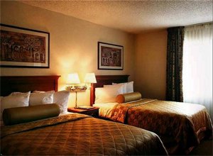 Embassy Suites Hotel Dallas-Near The Galleria