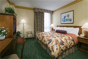 Embassy Suites Hotel Tampa-Usf/Near Busch Gardens