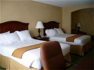 Holiday Inn Express Hotel & Suites Binghamton University-Vestal