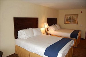 Holiday Inn Express Hotel & Suites Chicago South Lansing