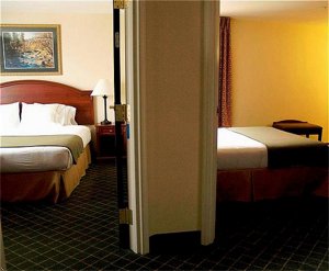 Holiday Inn Express Hotel & Suites Commerce