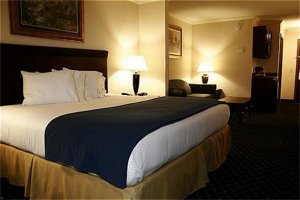 Holiday Inn Express Hotel & Suites Douglas