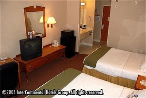 Holiday Inn Express Hotel & Suites Fenton, Mi