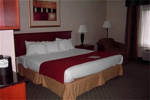 Holiday Inn Express Hotel & Suites Auburn