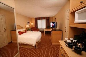 Hilton Garden Inn Orlando At Seaworld