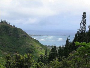 Hawaii Beach Vacation Rentals By Ray