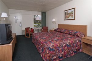 Masters Inn Tampa-East